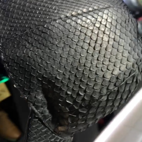 Python leather baseball hat😍 - Picture 2 of 3